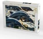 CALVENDO Puzzle Delfine 1000 Teile Lege-Gr&ouml;&szlig;e 64x48cm Foto-Puzzle f&uuml;r...