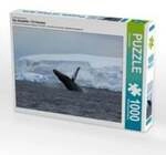 CALVENDO Puzzle Die Antarktis / CH-Version, Lege-Gr&ouml;&szlig;e 64 x 48 cm Foto-Puzzle...