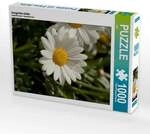 CALVENDO Puzzle margeriten bl&uuml;te 1000 Teile Lege-Gr&ouml;&szlig;e 64x48cm Foto-Puzzle f&uuml;r