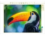 CALVENDO Puzzle Farbenfroher Riesentukan 1000 Teile Lege-Gr&ouml;&szlig;e 64x48cm...