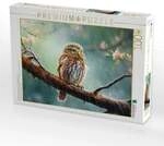 CALVENDO Puzzle Ein Motiv aus dem Kalender "Zw&ouml;lf Monate im Wald" 1000 Teile