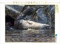CALVENDO Puzzle Robbe an der Felsk&uuml;ste 2000 Teile Lege-Gr&ouml;&szlig;e 90 &times; 67 cm
