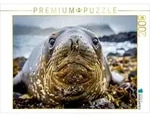 CALVENDO Puzzle Mehr Charme pro Tonne. 2000 Teile Lege-Gr&ouml;&szlig;e 90 &times; 67 cm