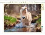 CALVENDO Puzzle Shetlandpony - Abenteuer im Bach 1000 Teile Lege-Gr&ouml;&szlig;e 64 &times;...