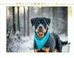 CALVENDO Puzzle Rottweiler - Imposanter Begleiter im Schnee 2000 Teile...