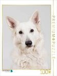 CALVENDO Puzzle Berger Blanc Suisse 1000 Teile Lege-Gr&ouml;&szlig;e 64 &times; 48 cm...