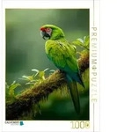 CALVENDO Puzzle Soldatenara - Gr&uuml;nes Juwel des Regenwaldes 1000 Teile...