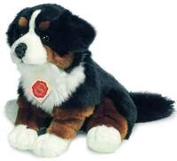 Berner Sennenhund, sitzend, 29 cm