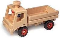 Fagus 10.45 - LKW-Kipper, Holzfahrzeug, Laster