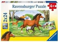 Puzzle Ravensburger Welt der Pferde 2 X 24 Teile