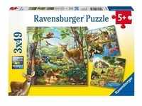 Wald-/Zoo-/Haustiere, Puzzle (Ravensburger - 09265), Spielwaren