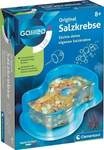 So z&uuml;chtest du Salzkrebse (Experimentierkasten)