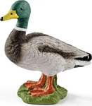 schleich Erpel