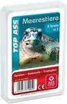 TOP ASS - Meerestiere
