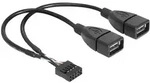 Delock USB-Kabel USB 2.0 Pfostenstecker 8pol., USB-A Buchse 0.20 m Schwarz