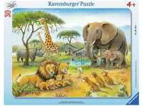 Rahmenpuzzle Ravensburger Afrikas Tierwelt 30 Teile