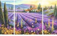 Malen nach Zahlen - Lavendelfelder (Triptychon)