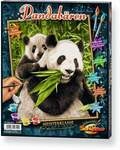 Malen nach Zahlen - Pandab&auml;ren