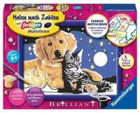 Ravensburger Malen nach Zahlen, funkelnder Sternenhimmel