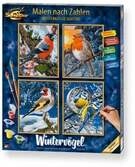 Malen nach Zahlen - Winterv&ouml;gel (Quattro)