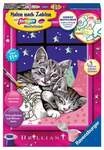 Ravensburger Malen nach Zahlen, Schlafende Katzen