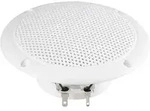 Visaton FR 10 WP - 4 Ohm 4 Zoll 10cm Breitb&auml;nder 20W 4&Omega; Wei&szlig; Seewasserbest&auml;ndig