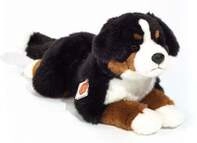 Berner Sennehund liegend 40 cm