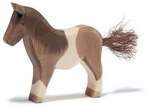 Pony