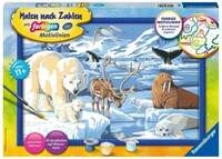 CreArt, Malen nach Zahlen Kinder - Tiere der Arktis