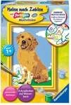 CreArt, Malen nach Zahlen Kinder - Kleiner Golden Retriever
