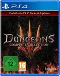 Plaion Dungeons 3 (Complete Edition) (Playstation 4)