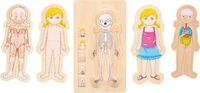 Schichtenpuzzle Anatomie M&auml;dchen