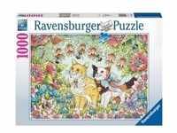 Puzzle Ravensburger Kätzchenfreundschaft 1000 Teile