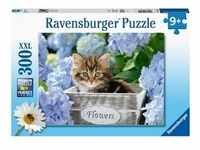 Puzzle Ravensburger Kleine Katze 300 Teile XXL