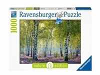 Puzzle Ravensburger Birkenwald Nature Edition 1000 Teile, Spielwaren