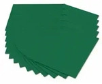 folia Fotokarton 300g/m2 tannengr&uuml;n DIN A4 50 Blatt
