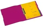 Herlitz Ringbuch PP A4 2 Ringe 25mm, opak beere