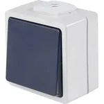 AS Schwabe 62452 Taster IP54 Grau