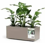 Euro3plast Greener KEBE 3154.G9Pflanzkasten Kunststoff Taupe