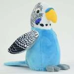 Laber Wellensittich, blau