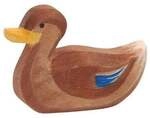 Ente schwimmend