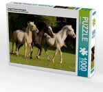 CALVENDO Puzzle junge Palominohengste 1000 Teile Lege-Gr&ouml;&szlig;e 64x48cm Foto-Puzzle
