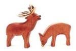 Hirsch