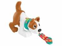 Fisher Price - Bello Spielzeughund, Krabbelspielzeug, Babyspielzeug 6 M.