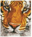 Diamond Dotz Tiger