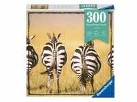 Puzzle Ravensburger Zebra 300 Teile