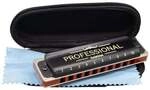 Professional Blues Harmonica in C (incl. case and cleaning cloth)