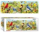 Backyard Birds Panoramic 1000pc