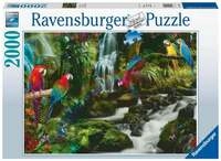 Puzzle Ravensburger Bunte Papageien im Dschungel 2000 Teile
