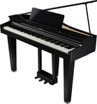 Roland GP3PE, Roland GP-3 PE Kompakter Digitalfl&uuml;gel Schwarz Hochglanz